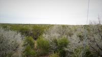 Frio Canyon Real Estate - Martin Martinez