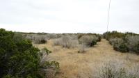 Frio Canyon Real Estate - Martin Martinez