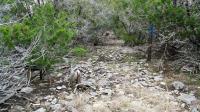 Frio Canyon Real Estate - Martin Martinez