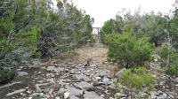 Frio Canyon Real Estate - Martin Martinez