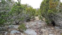 Frio Canyon Real Estate - Martin Martinez