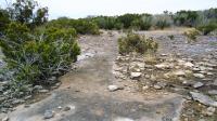 Frio Canyon Real Estate - Martin Martinez