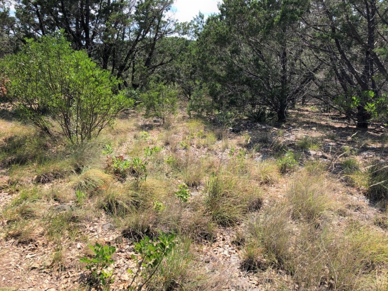 Martin Martinez - Frio Canyon Real Estate