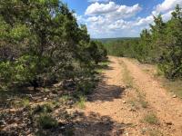 Frio Canyon Real Estate - Martin Martinez
