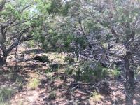 Frio Canyon Real Estate - Martin Martinez